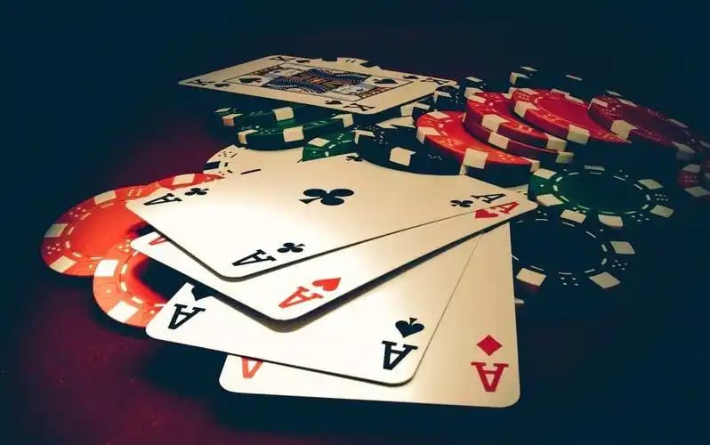 559bet net