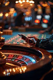 559bet net