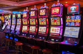 559bet net