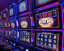 559bet net