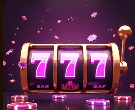 559bet net
