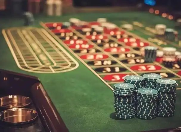 559bet net